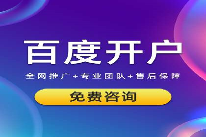SEM优化技巧：实战案例深度剖析